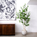 6’ Artificial Birch Tree Home Decor. Retail $199